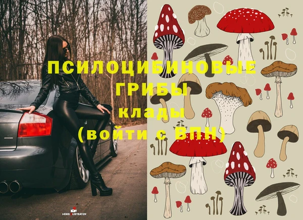 молекула духа Белая Холуница