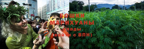 мяу мяу мука Надым