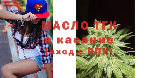 молекула духа Белая Холуница