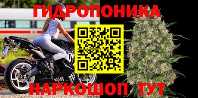 a pvp Донской