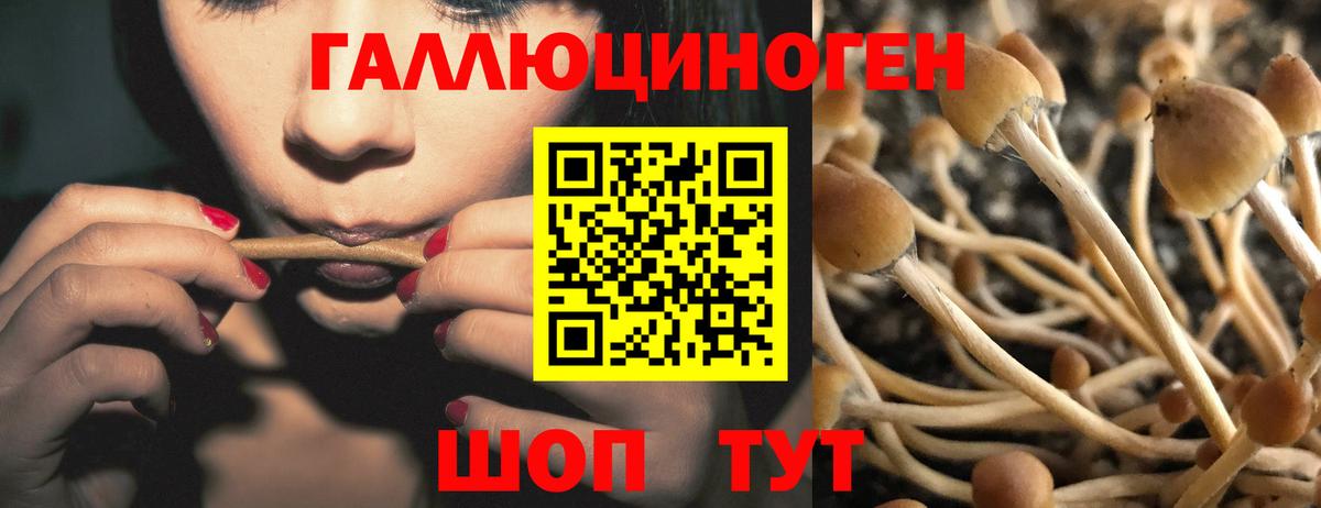 Первоуральск  Галлюциногенные грибы MAGIC MUSHROOMS  Вход с VPN 